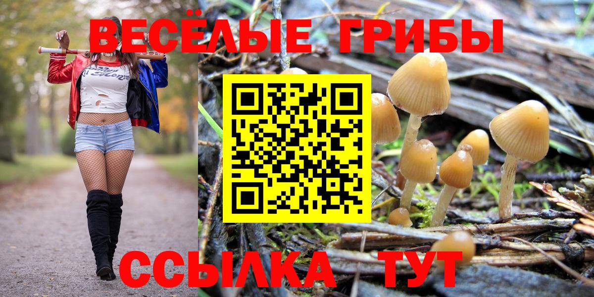 Галлюциногенные грибы Psilocybine cubensis  Вход с VPN  Тверь  Псилоцибиновые грибы Psilocybine cubensis 