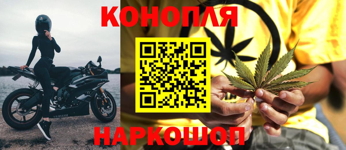 Канабис семена Тверь